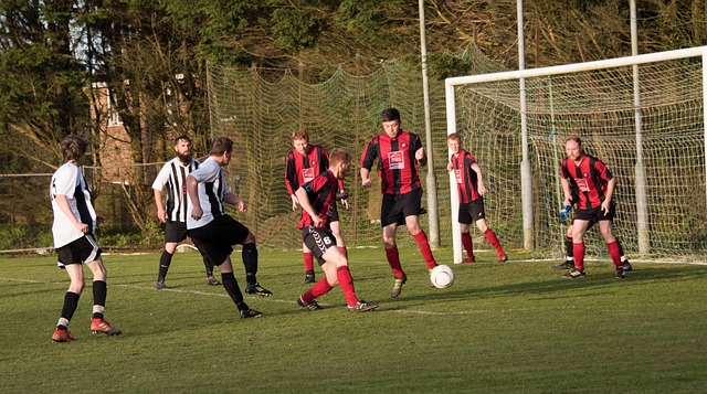 库托的全能 库托的全能