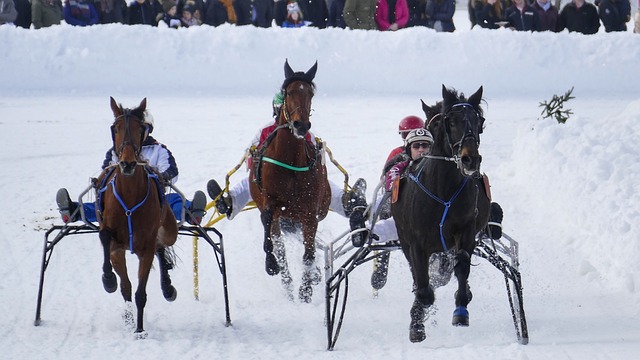 他迅速成长 他迅速成长