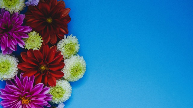 滑女队在短 滑女队在短