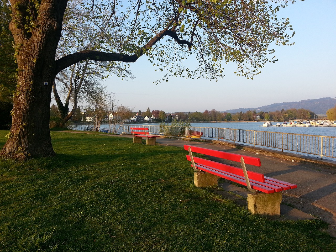 艱難抉擇 艱難抉擇