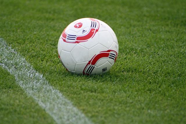 2022斯巴达勇士儿童赛训练挑战营落地重庆北碚.