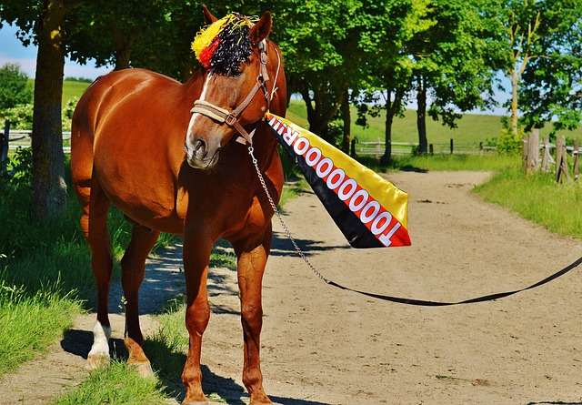 鏡報：綠色袖標禁令！英超要自己監督所有慈善活動！.